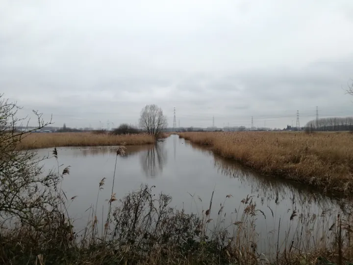 Plains of Zwijndrecht, Antwerp (Belgium)
